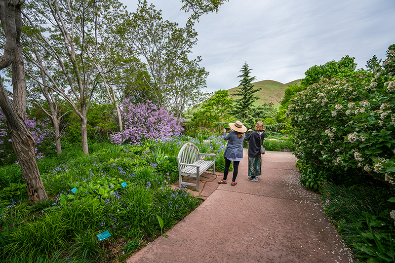 Two visitors take photos at Red Butte Garden. Image courtesy of the University of Utah.
