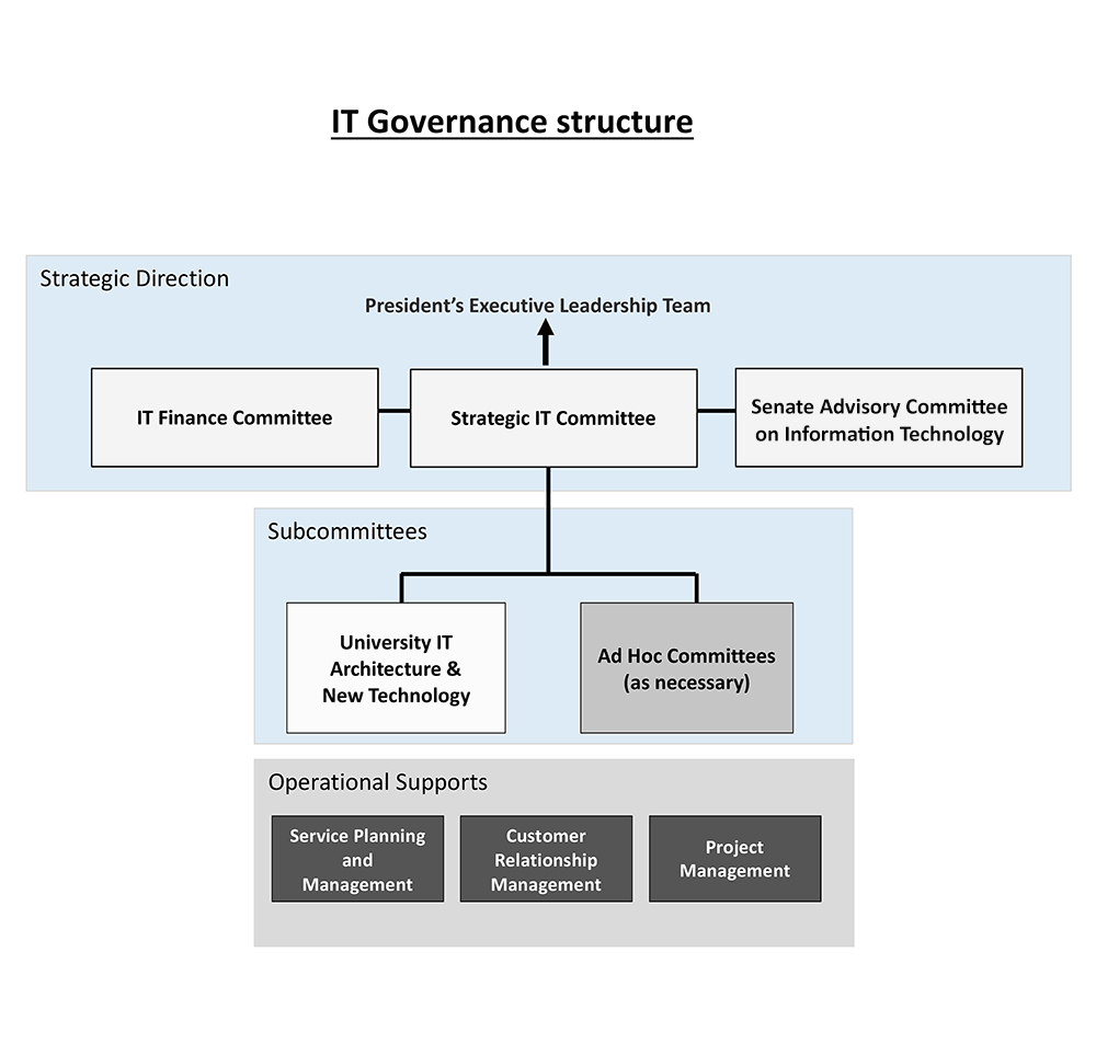 Governance structure graphic