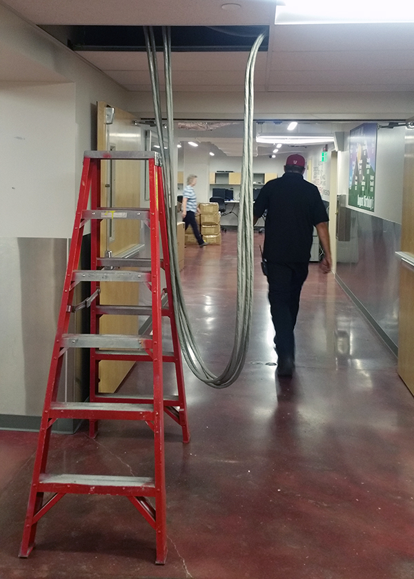 Telephone cables, each containing 100 pairs of phone lines, hang from the ceiling during the ACC project.  [Photo: Tim Goodale]