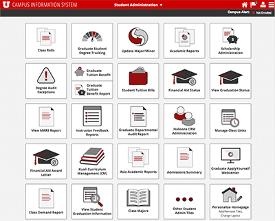 Screenshot of the student view in the new CIS portal