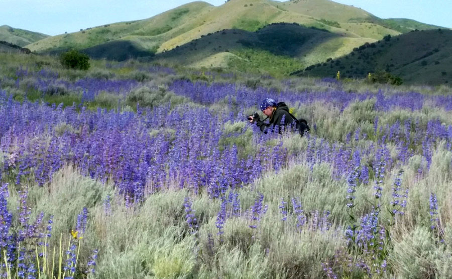 Gretchen Lohse "in the field," courtesy GRU Visual Media.