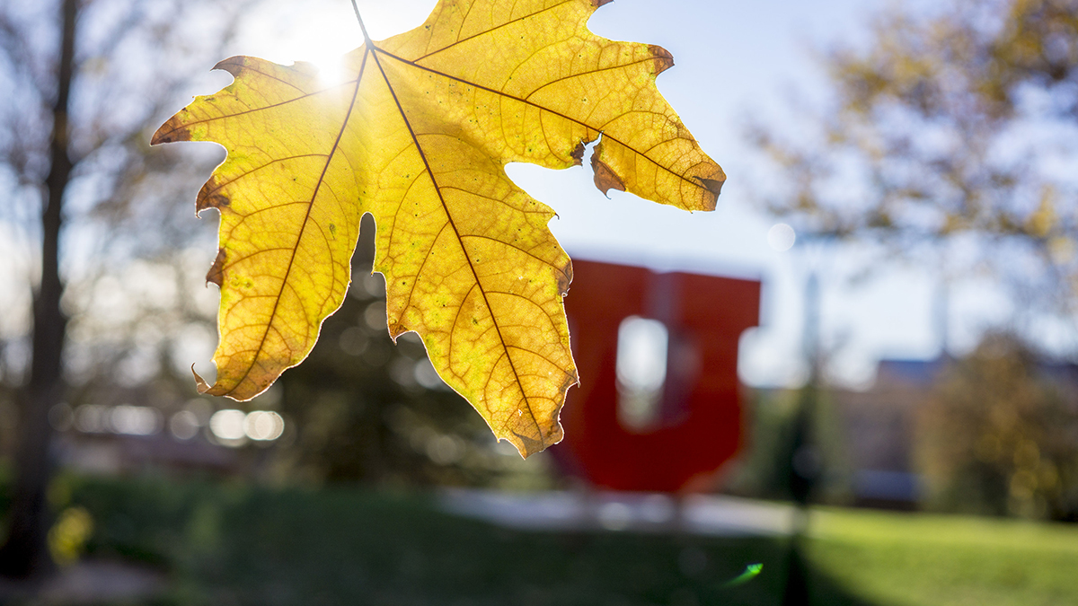 Image courtesy of the University of Utah.