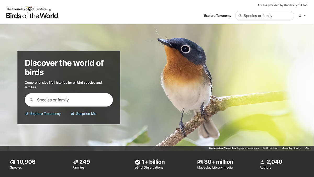 Birds of the World consolidates scholarly content from four celebrated works of ornithology into a single platform where biologists and birders can find comprehensive life history information on birds.