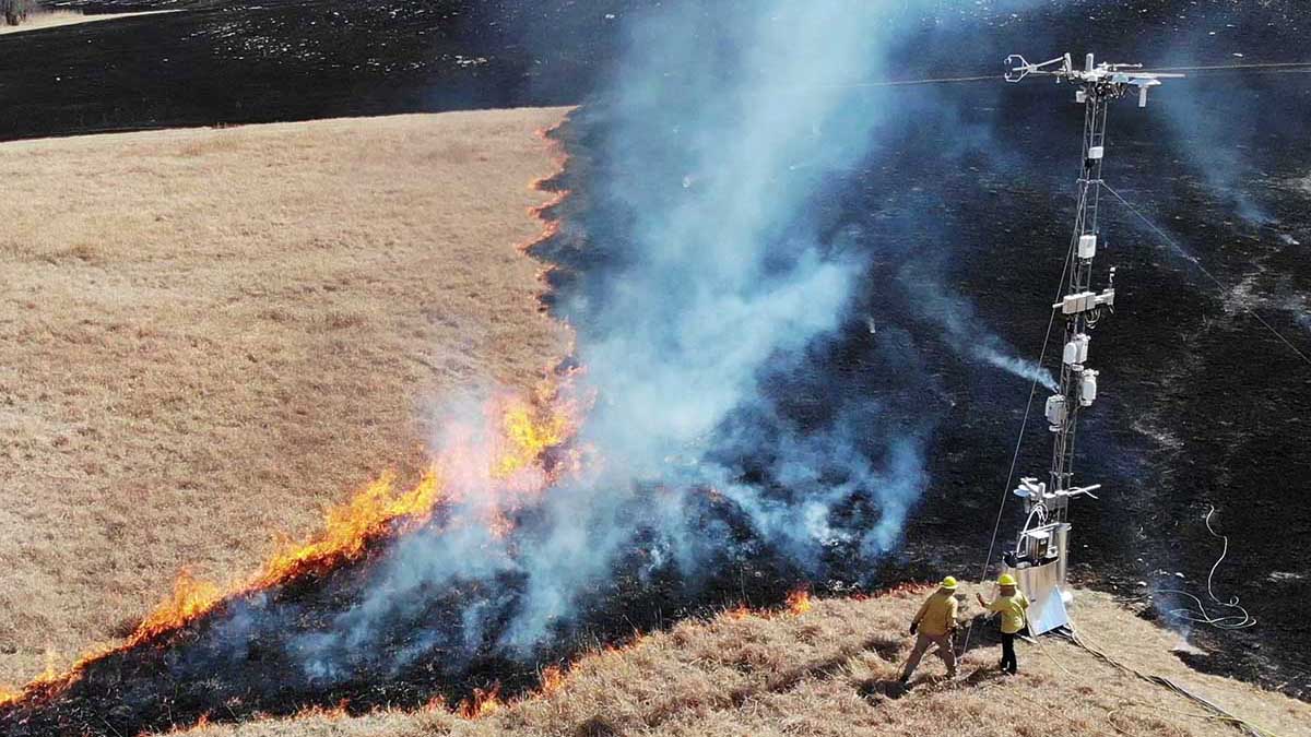Scientists from Argonne National Laboratory conduct experiments with a Sage monitoring system near a controlled burn in the Konza prairie in Kansas (image by Rajesh Sankaran, Argonne). Select the image to enlarge.