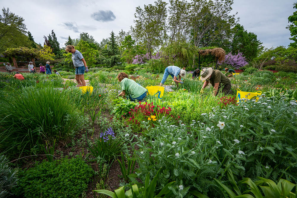 Scenes from the Red Butte Garden and Arboretum. Photos courtesy of Dave Titensor, the University of Utah.