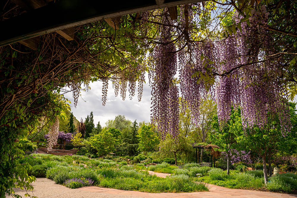 Scenes from the Red Butte Garden and Arboretum. Photos courtesy of Dave Titensor, the University of Utah.