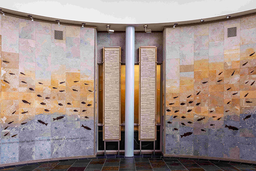 Display of carbonized leaf fossils from the Green River Formation and ancient Fossil Lake.