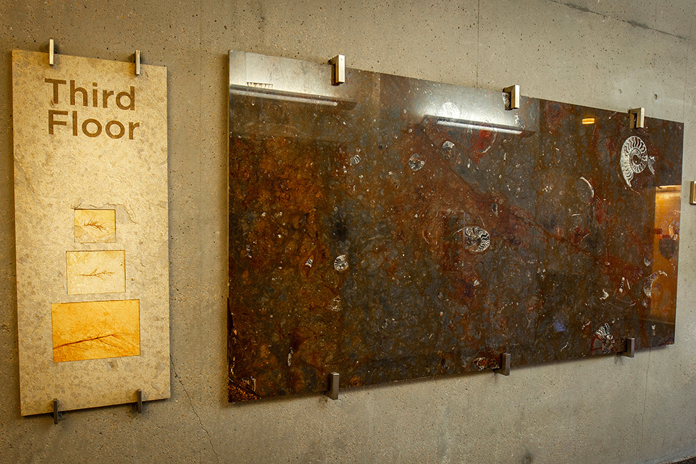 This third floor display features fossilized cephalopods and ammonites in Moroccan limestone.