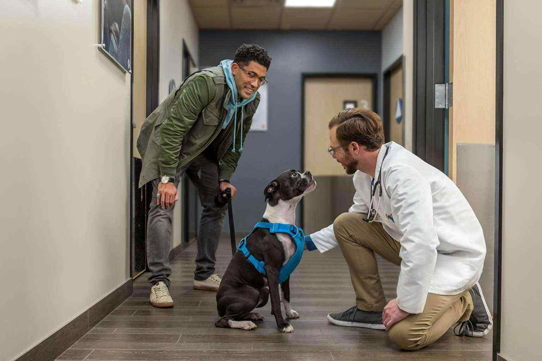 Image of a dog owner and his dog greeting a veterinarian, who is kneeling on one knee. Image courtesy of Banfield Pet Hospital.