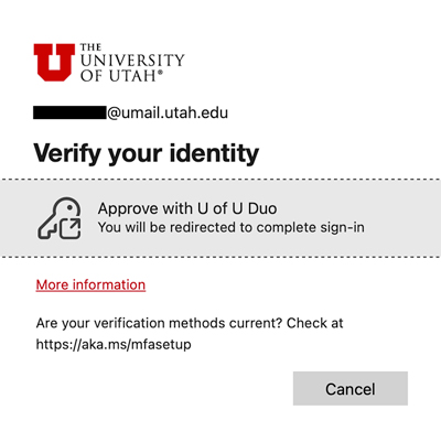 Additional verification step during the Duo process.
