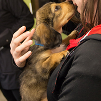 Photos: UberPuppies pays a visit to USS