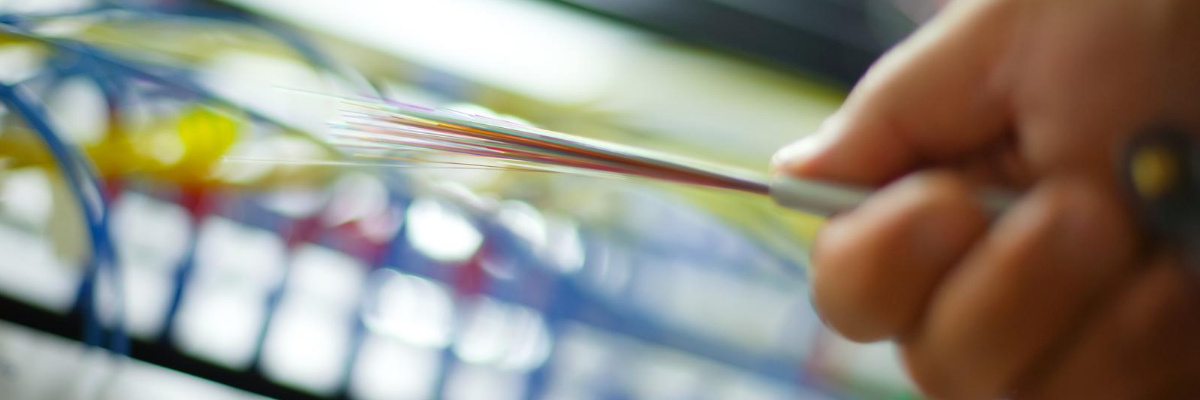 Meet Your Colleagues: Fiber Team Meet Your Colleagues: Fiber Team