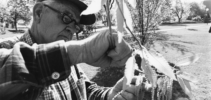 This image of the late Dr. Walter P. Cottam is courtesy of Roy Webb, retired multimedia archivist with the J. Willard Marriott Library.