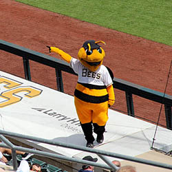 UIT Spring Party recap: Salt Lake Bees game a home run with employees -  University Information Technology - The University of Utah